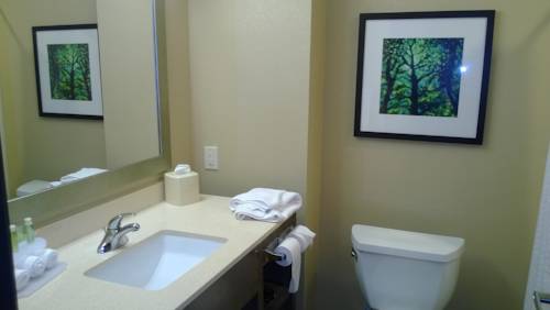 Imagen de la habitación del Hotel Holiday Inn Express and Suites Schulenburg, An Ihg. Foto 7