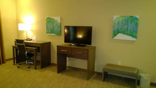 Imagen de la habitación del Hotel Holiday Inn Express and Suites Schulenburg, An Ihg. Foto 8