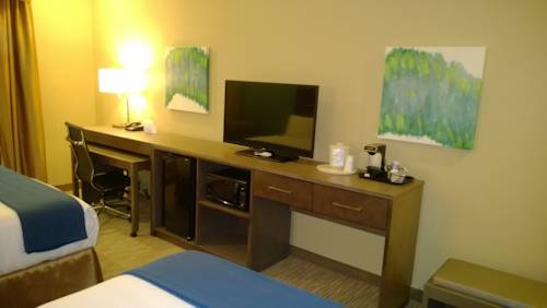 Imagen general del Hotel Holiday Inn Express and Suites Schulenburg, An Ihg. Foto 1