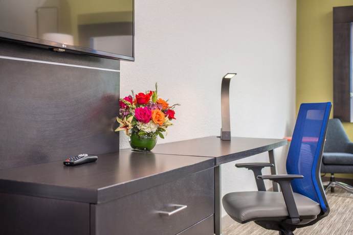 Imagen de la habitación del Hotel Holiday Inn Express and Suites Tampa North - Wesley Chapel by IHG. Foto 3