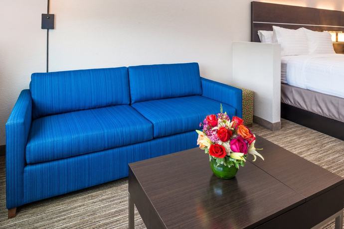 Imagen de la habitación del Hotel Holiday Inn Express and Suites Tampa North - Wesley Chapel by IHG. Foto 4
