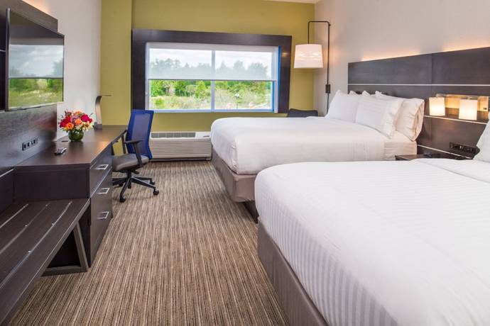 Imagen de la habitación del Hotel Holiday Inn Express and Suites Tampa North - Wesley Chapel by IHG. Foto 10