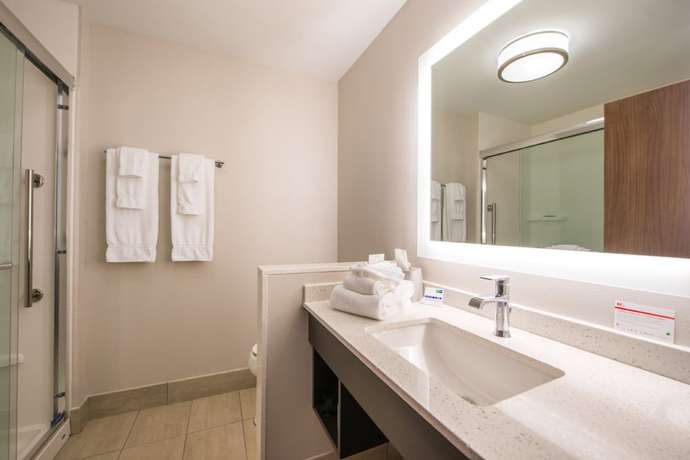 Imagen de la habitación del Hotel Holiday Inn Express and Suites Tampa North - Wesley Chapel by IHG. Foto 12