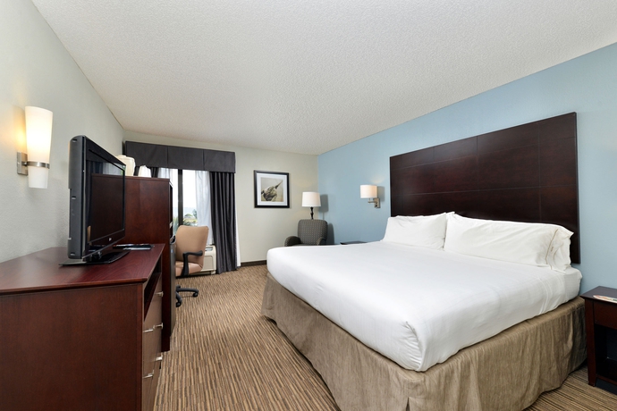 Imagen de la habitación del Hotel Holiday Inn Express and Suites Tampa-rocky Point Island, An Ihg. Foto 6