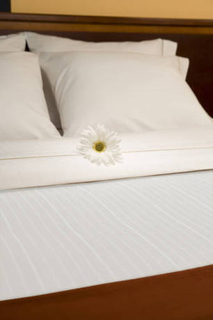 Imagen de la habitación del Hotel Holiday Inn Express and Suites Tehachapi, An Ihg. Foto 3
