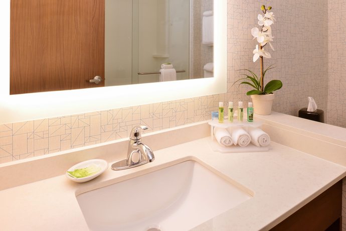Imagen de la habitación del Hotel Holiday Inn Express and Suites Trinity, an IHG. Foto 7