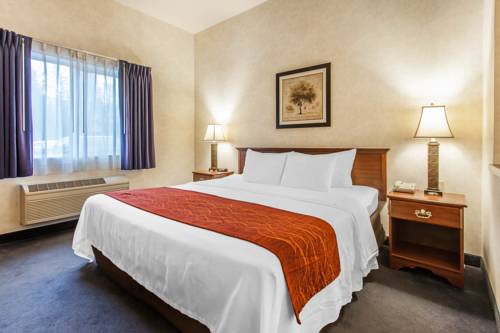 Imagen de la habitación del Hotel Holiday Inn Express and Suites Tumwater Olympia, An Ihg. Foto 13