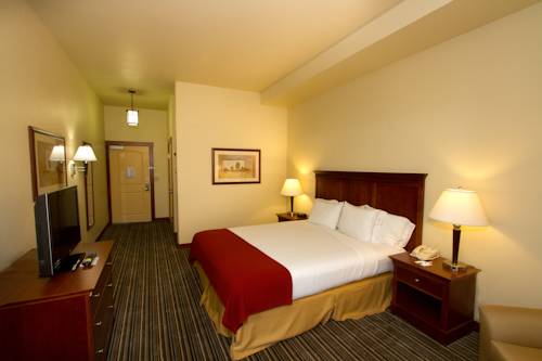 Imagen general del Hotel Holiday Inn Express and Suites Turlock, An Ihg. Foto 1