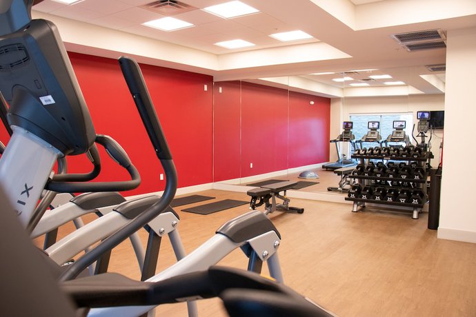 Imagen de los interiores del Hotel Holiday Inn Express and Suites Tuscaloosa East - Cottondale, an IHG. Foto 15