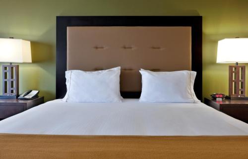 Imagen de la habitación del Hotel Holiday Inn Express and Suites Twin Falls, An Ihg. Foto 6