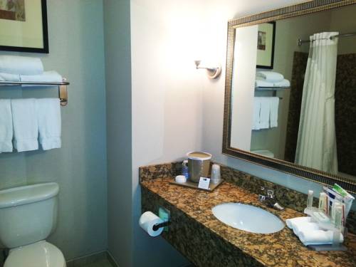 Imagen de la habitación del Hotel Holiday Inn Express and Suites Vancouver Mall, An Ihg. Foto 6