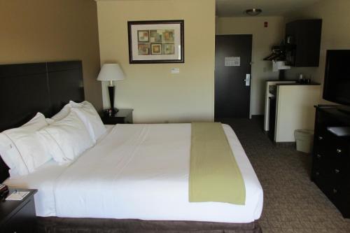 Imagen de la habitación del Hotel Holiday Inn Express and Suites Wheeling, an IHG, Triadelphia. Foto 8