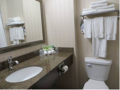 Imagen de la habitación del Hotel Holiday Inn Express and Suites Whitecourt, An Ihg. Foto 13