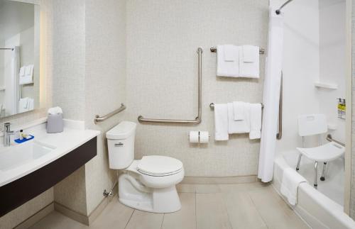 Imagen de la habitación del Hotel Holiday Inn Express and Suites Windsor East - Lakeshore, an IHG Hotel. Foto 18