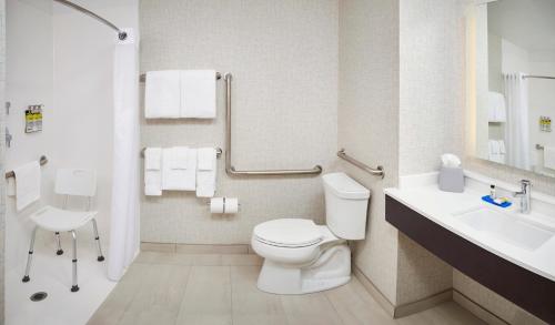 Imagen general del Hotel Holiday Inn Express and Suites Windsor East - Lakeshore, an IHG Hotel. Foto 2