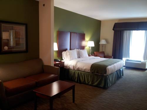 Imagen de la habitación del Hotel Holiday Inn Express and Suites Wytheville, An Ihg. Foto 3