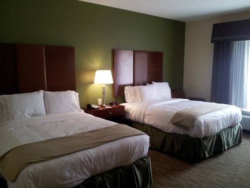 Imagen de la habitación del Hotel Holiday Inn Express and Suites Wytheville, An Ihg. Foto 5