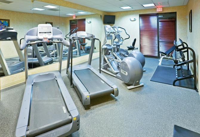 Imagen de los interiores del Hotel Holiday Inn Express y Suites Irving Conv Ctr - Las Colinas. Foto 16