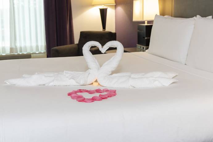 Imagen de la habitación del Hotel Holiday Inn Expresss And Suites Columbus-polaris Parkway, An Ihg. Foto 9