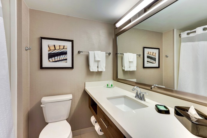 Imagen de la habitación del Hotel Holiday Inn Franklin - Cool Springs. Foto 9