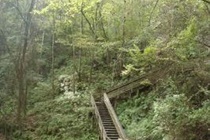 Imagen general del Hotel Holiday Inn Gainesville - University Center, An Ihg. Foto 7