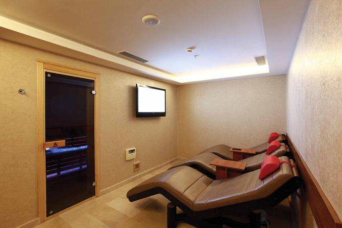 Imagen de la piscina del Hotel Holiday Inn Gebze - Istanbul Asia, An Ihg. Foto 14
