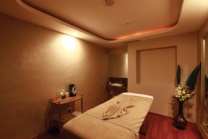 Imagen de la piscina del Hotel Holiday Inn Gebze - Istanbul Asia, An Ihg. Foto 15