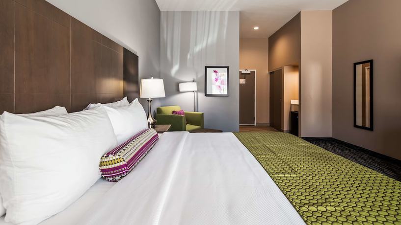 Imagen de la habitación del Hotel Holiday Inn Gonzales, An Ihg. Foto 4