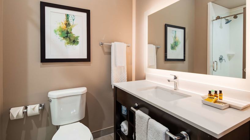 Imagen de la habitación del Hotel Holiday Inn Gonzales, An Ihg. Foto 14