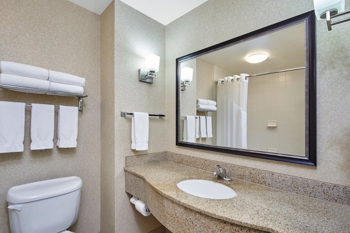 Imagen de la habitación del Hotel Holiday Inn Grand Rapids - South, An Ihg. Foto 15