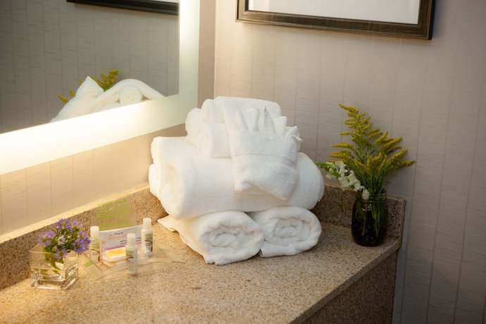 Imagen de la habitación del Hotel Holiday Inn Greenville, An Ihg. Foto 3