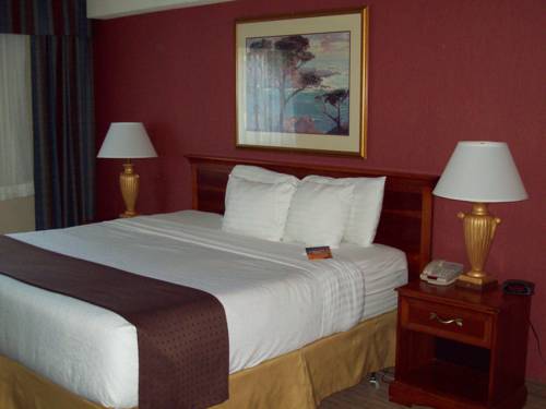 Imagen de la habitación del Hotel Holiday Inn Hinton, An Ihg. Foto 12