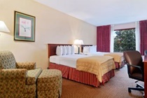 Imagen general del Hotel Holiday Inn Hotel y Suites Atlanta Airport-North. Foto 5