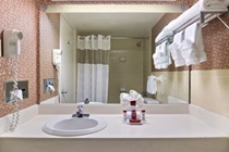 Imagen general del Hotel Holiday Inn Hotel y Suites Atlanta Airport-North. Foto 7