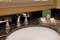 Imagen general del Hotel Holiday Inn Hotel y Suites Springfield - I-44. Foto 10