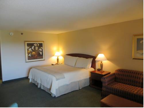 Imagen de la habitación del Hotel Holiday Inn Indianapolis Airport Area N, An Ihg. Foto 2