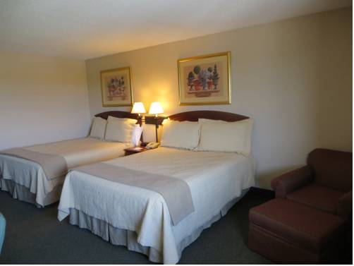 Imagen de la habitación del Hotel Holiday Inn Indianapolis Airport Area N, An Ihg. Foto 3