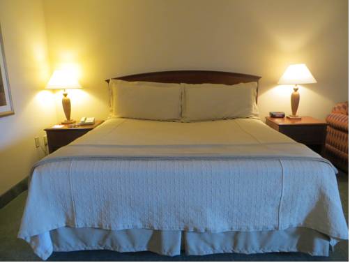 Imagen de la habitación del Hotel Holiday Inn Indianapolis Airport Area N, An Ihg. Foto 5