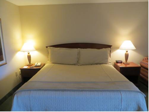 Imagen de la habitación del Hotel Holiday Inn Indianapolis Airport Area N, An Ihg. Foto 6