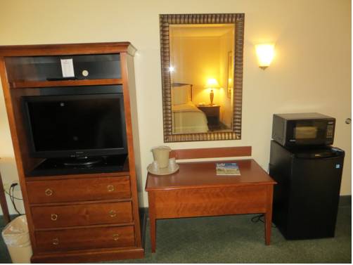 Imagen de la habitación del Hotel Holiday Inn Indianapolis Airport Area N, An Ihg. Foto 7