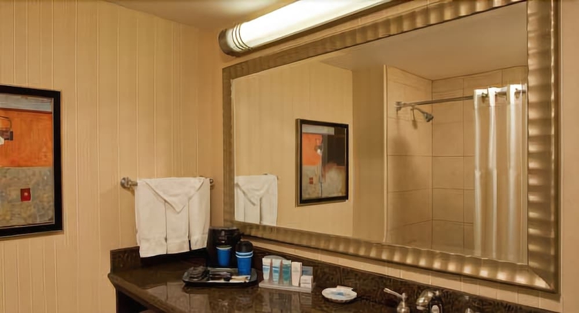 Imagen de la habitación del Hotel Holiday Inn Irving Las Colinas, An Ihg. Foto 13