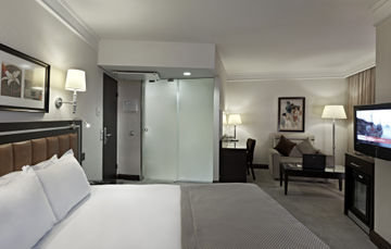 Imagen de la habitación del Hotel Holiday Inn Istanbul Old City, an IHG Hotel. Foto 3