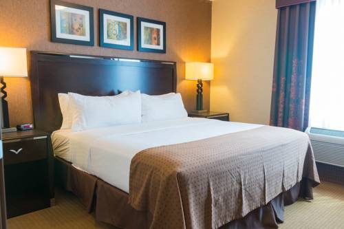 Imagen de la habitación del Hotel Holiday Inn Jackson Nw - Airport Road. Foto 1