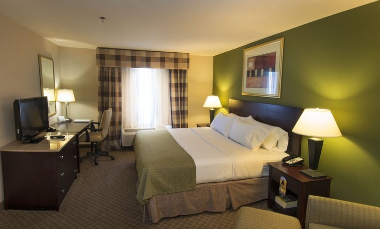 Imagen de la habitación del Hotel Holiday Inn Kansas City Airport, An Ihg. Foto 3