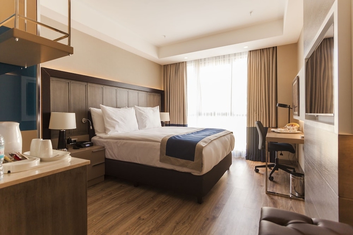 Imagen de la habitación del Hotel Holiday Inn Kayseri - Duvenonu, An Ihg. Foto 5