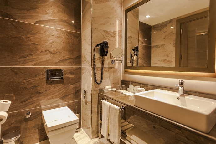 Imagen de la habitación del Hotel Holiday Inn Kayseri - Duvenonu, An Ihg. Foto 14
