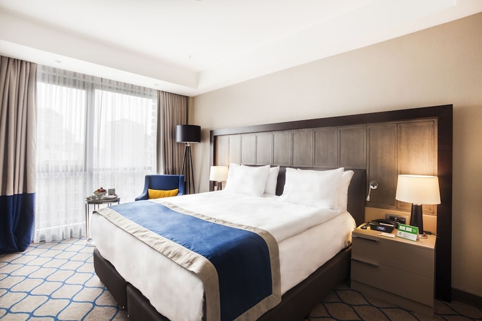 Imagen de la habitación del Hotel Holiday Inn Kayseri - Duvenonu, An Ihg. Foto 15