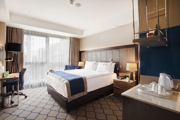 Imagen de la habitación del Hotel Holiday Inn Kayseri - Duvenonu, An Ihg. Foto 16