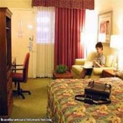 Imagen general del Hotel Holiday Inn Lafayette. Foto 1