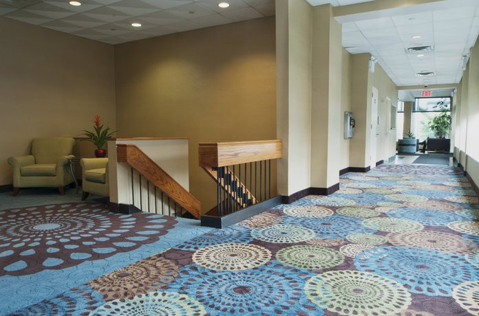 Imagen general del Hotel Holiday Inn Laguardia Airport. Foto 8